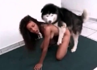 Banging with my lovely trained Husky