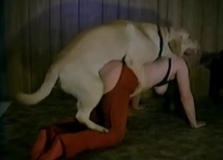 Juicy vagina nicely fucked by labrador