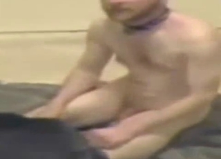 Bald zoophile enjoying a ruff romp