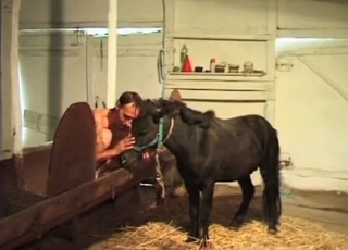 Pony and zoophile have nasty sex